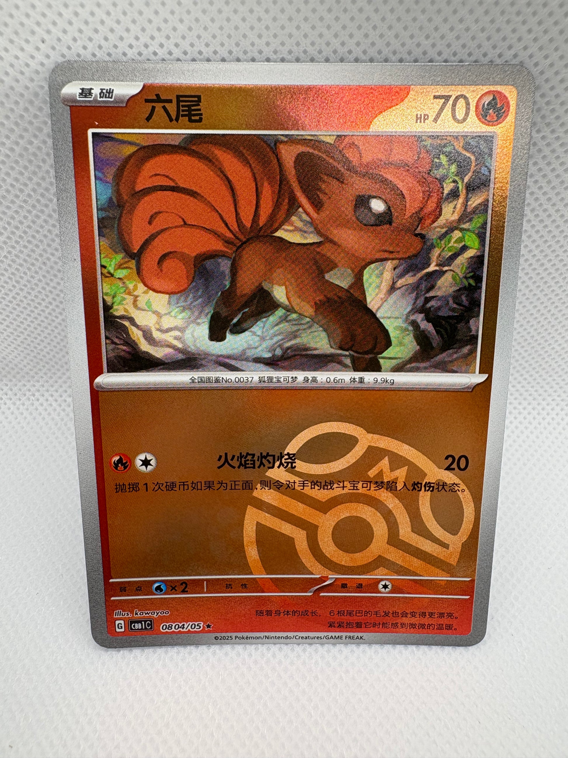 Vulpix - CBB1C - 0804/05